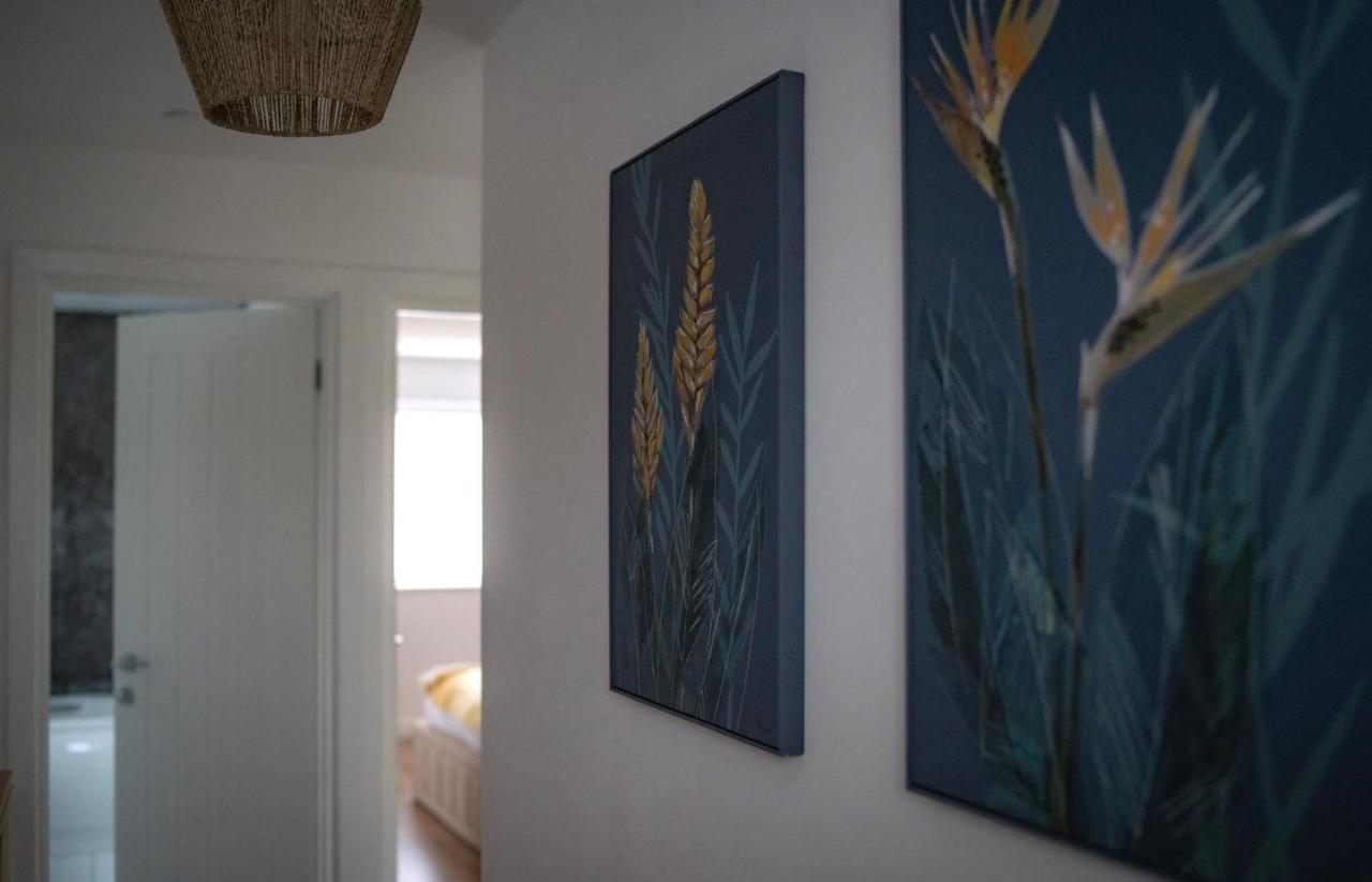 The Red House Modern Stylish Home From Home Walking Distance To Cardiff Bay And City Centre With Parking Bagian luar foto