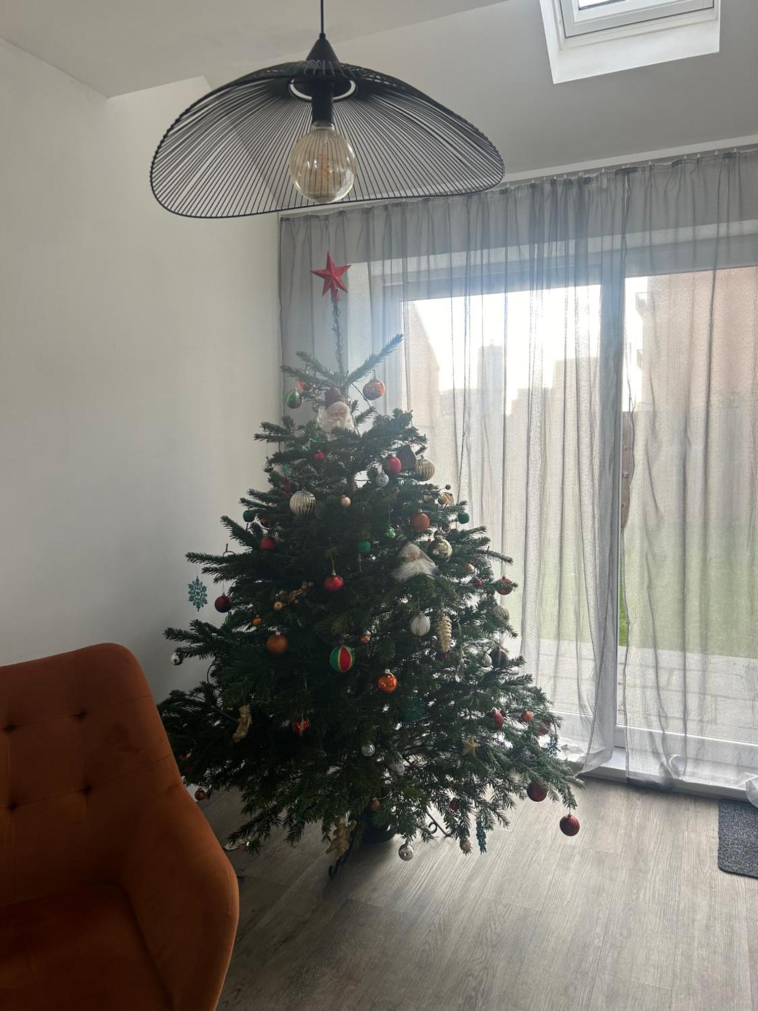 The Red House Modern Stylish Home From Home Walking Distance To Cardiff Bay And City Centre With Parking Bagian luar foto